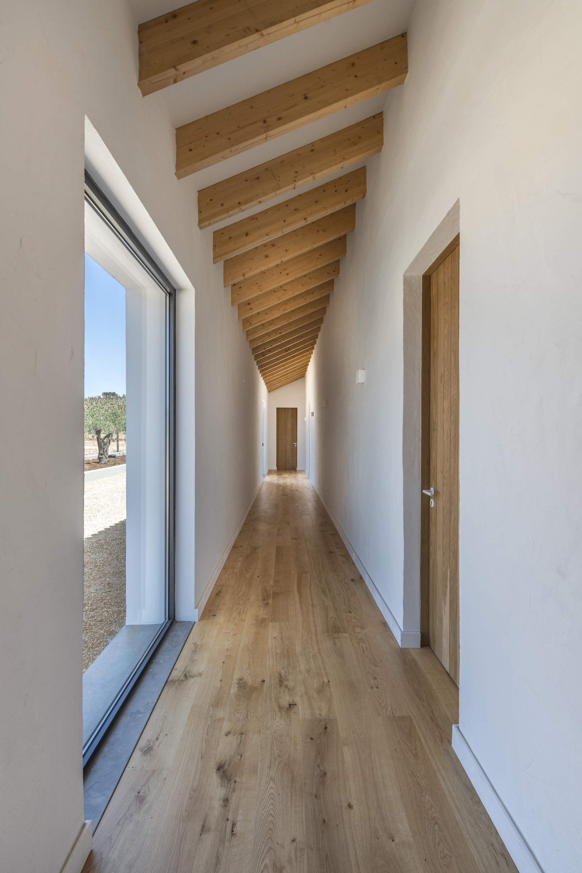 Herdade da Malhadinha Nova Portugal, photo by João Guimarães