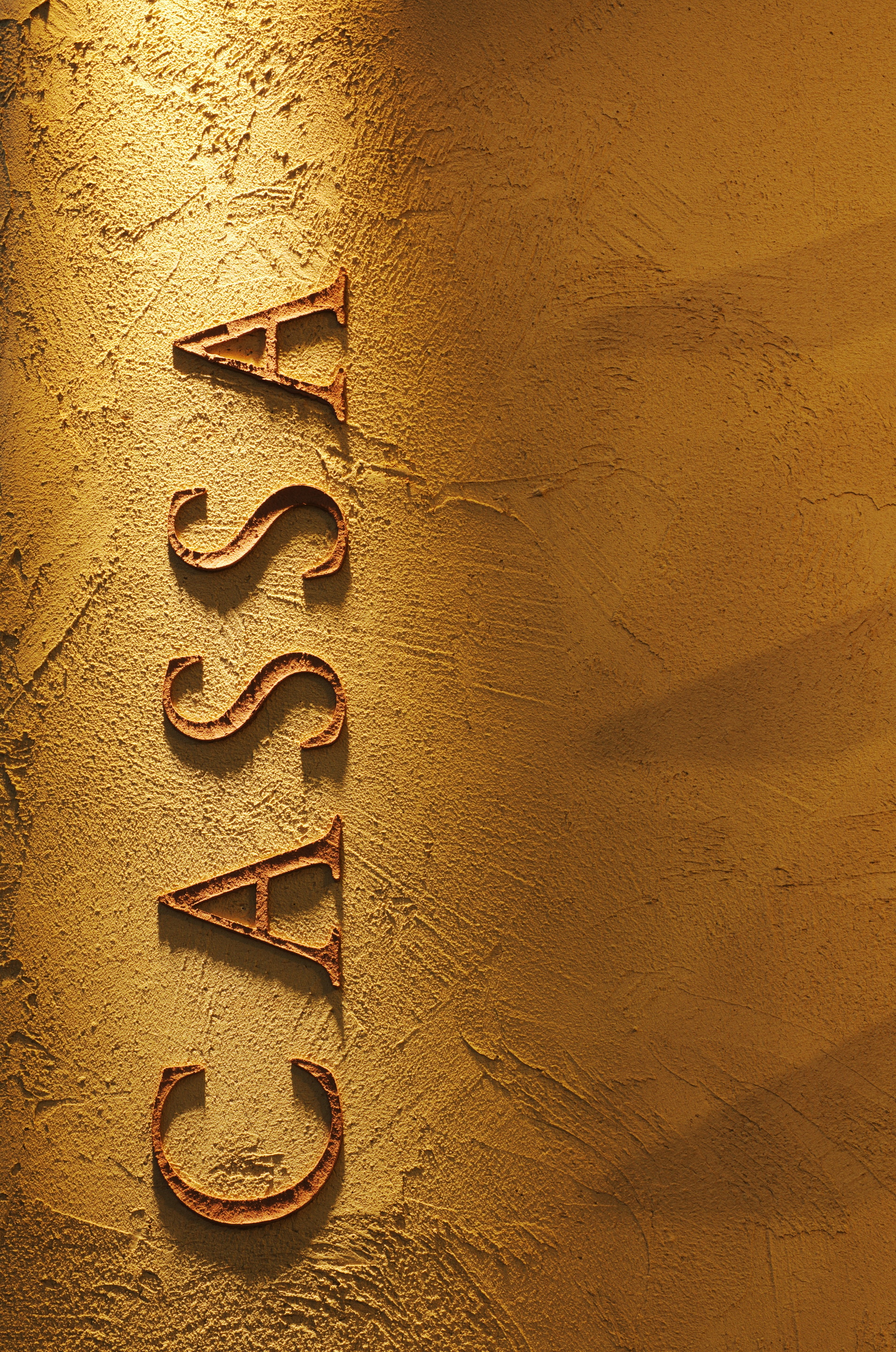 Stand Lavazza Salone del Gusto made with MultiTerra Structured Melograno Senape by Matteo Brioni, photo by Matteo Nobili