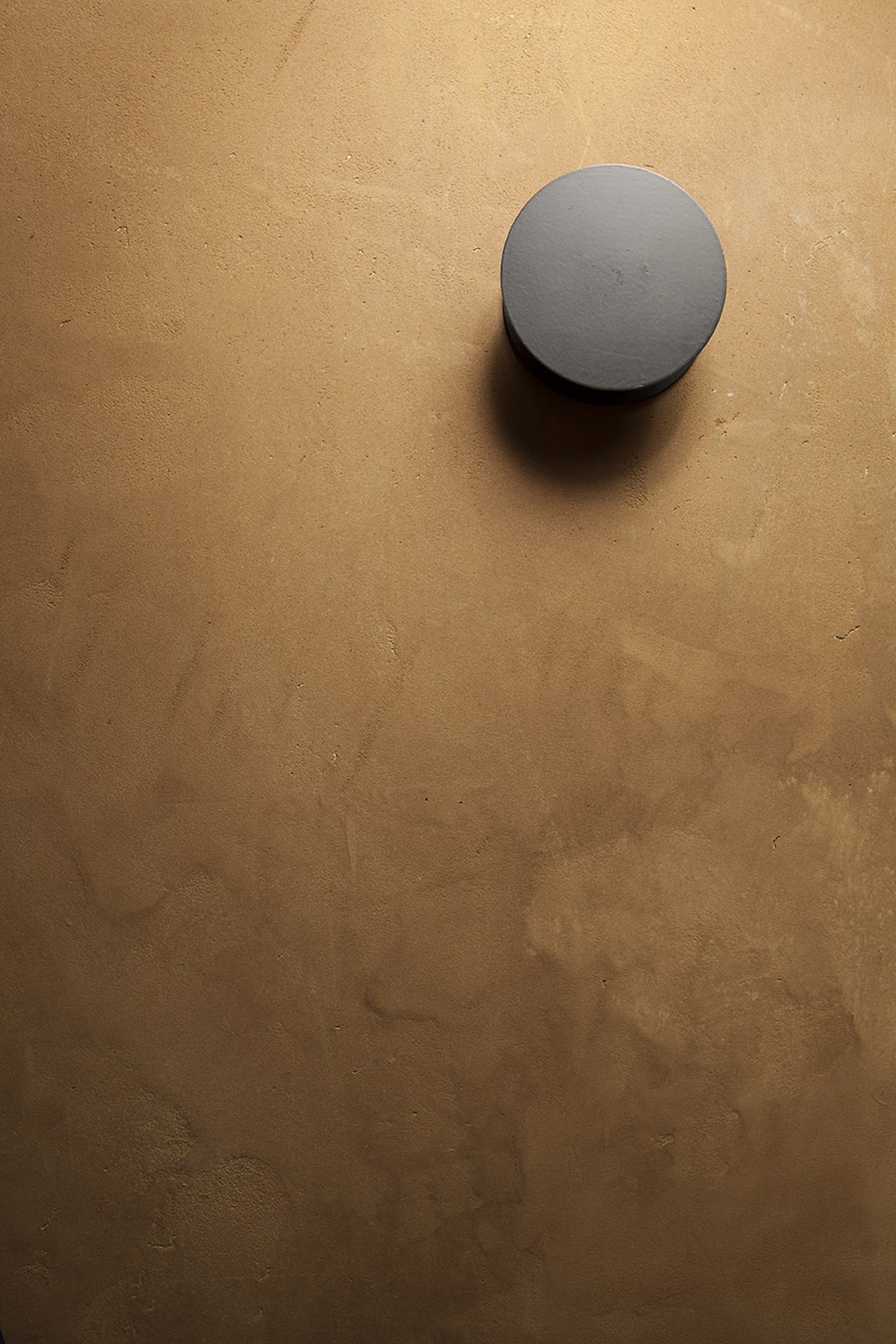 Boranga store in Pordenone by Isabella Breda, made with TerraVista Smooth Senape foto by Bruno Pulici