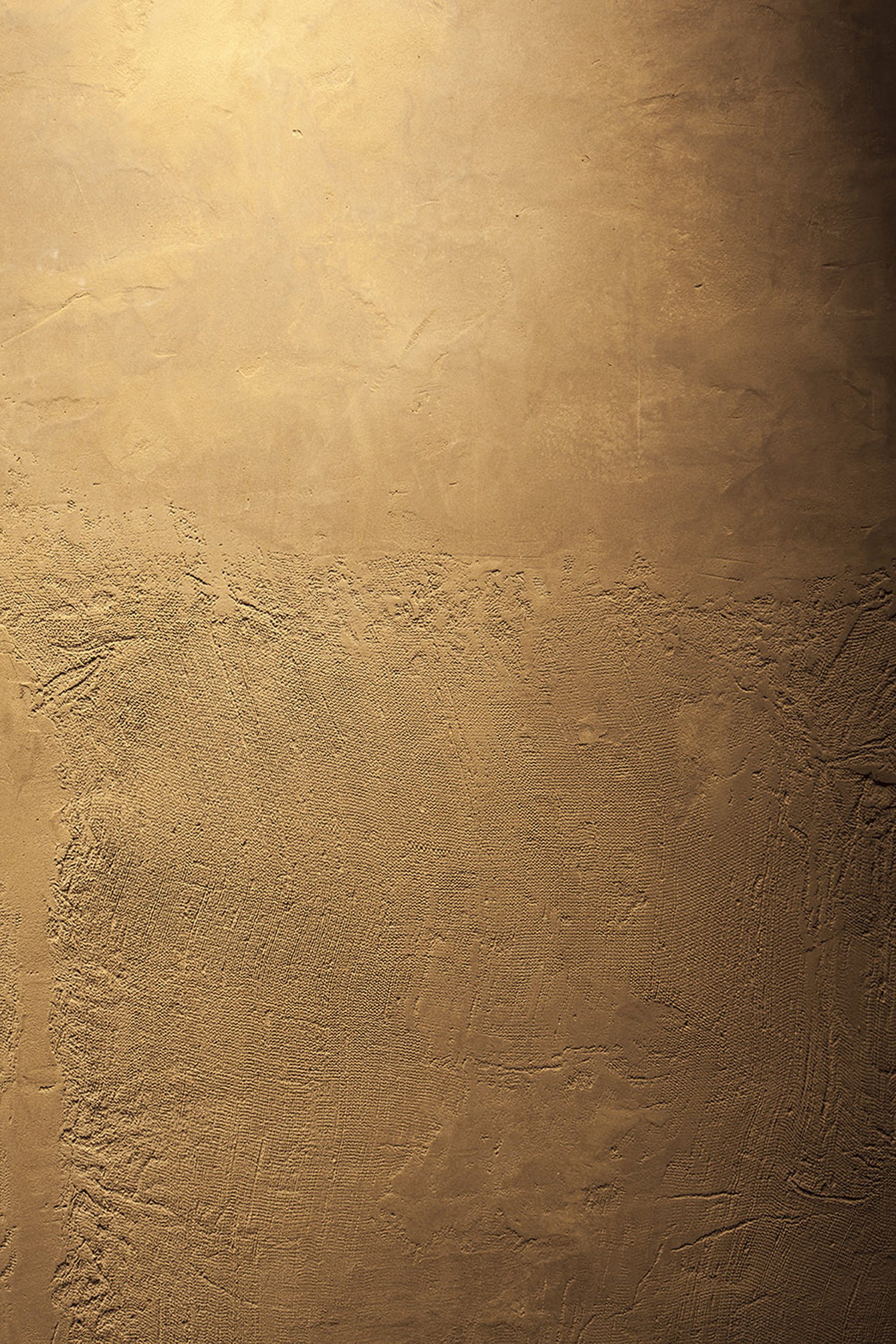 Boranga store in Pordenone by Isabella Breda, made with TerraVista Smooth Senape foto by Bruno Pulici