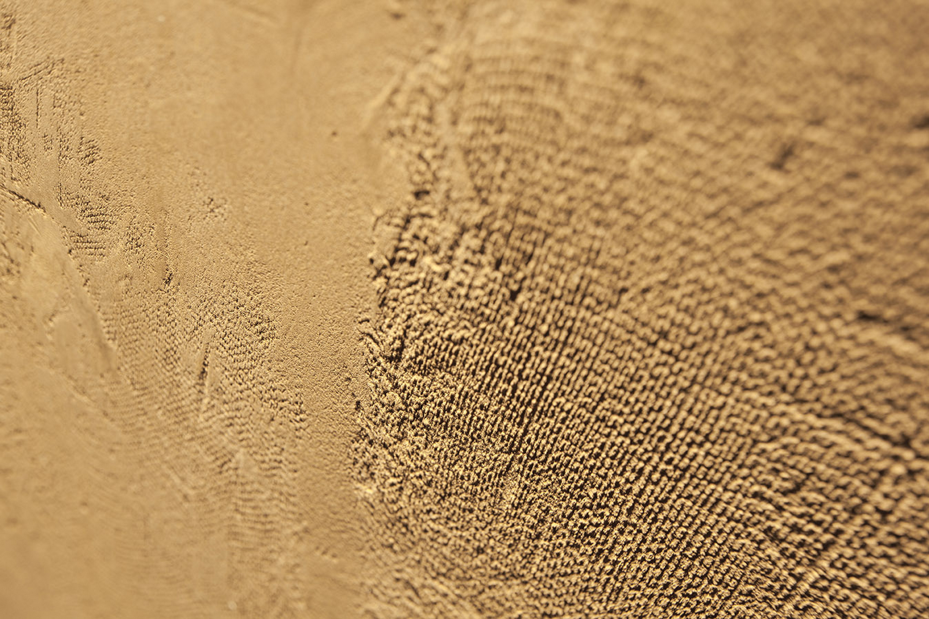 Boranga store in Pordenone by Isabella Breda, made with TerraVista Smooth Senape foto by Bruno Pulici