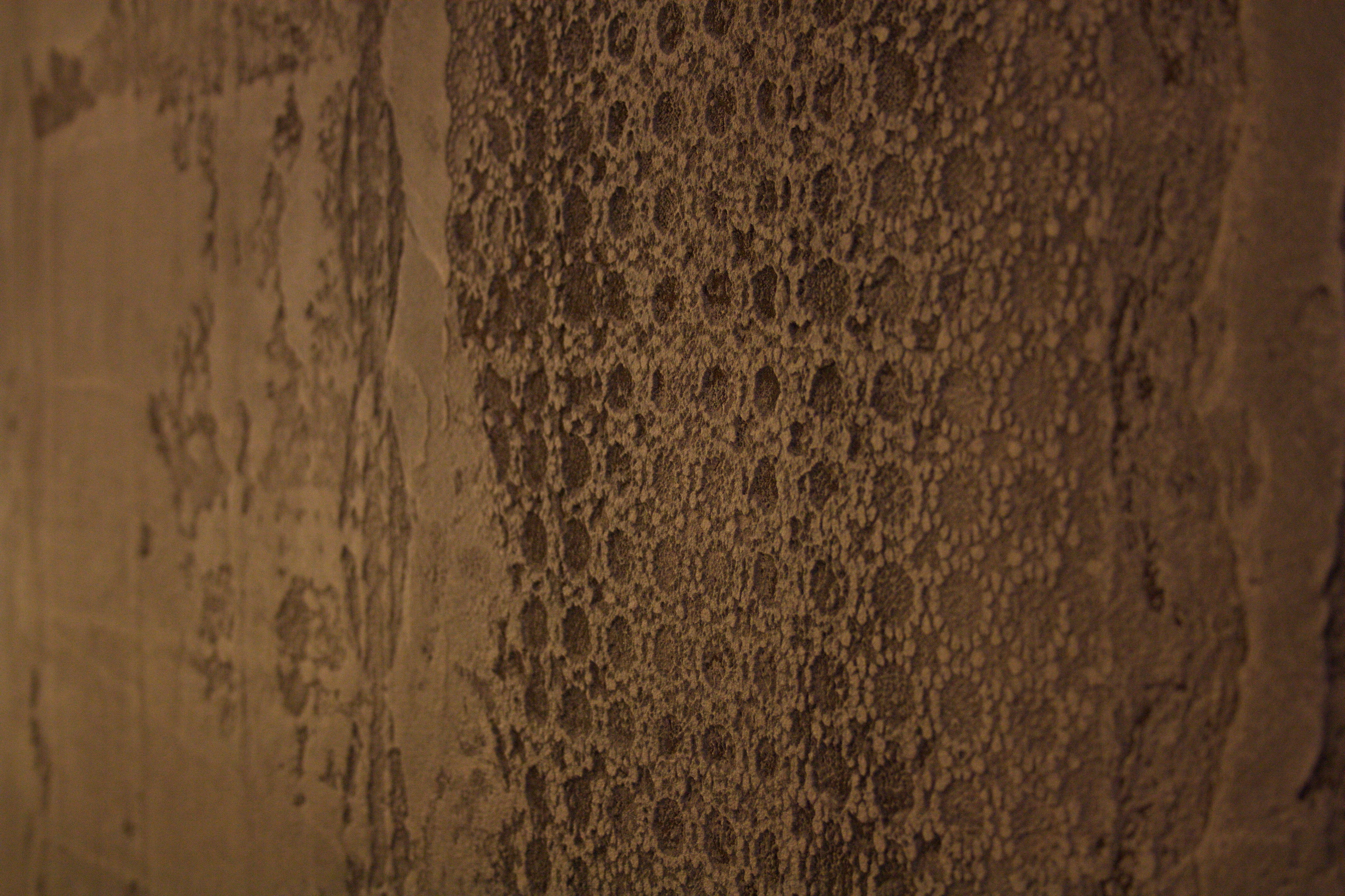 Stand Agape Salone del Mobile 2016 Milan, made with TerraEvoca 4 layers Cacao and Panna by Matteo Brioni