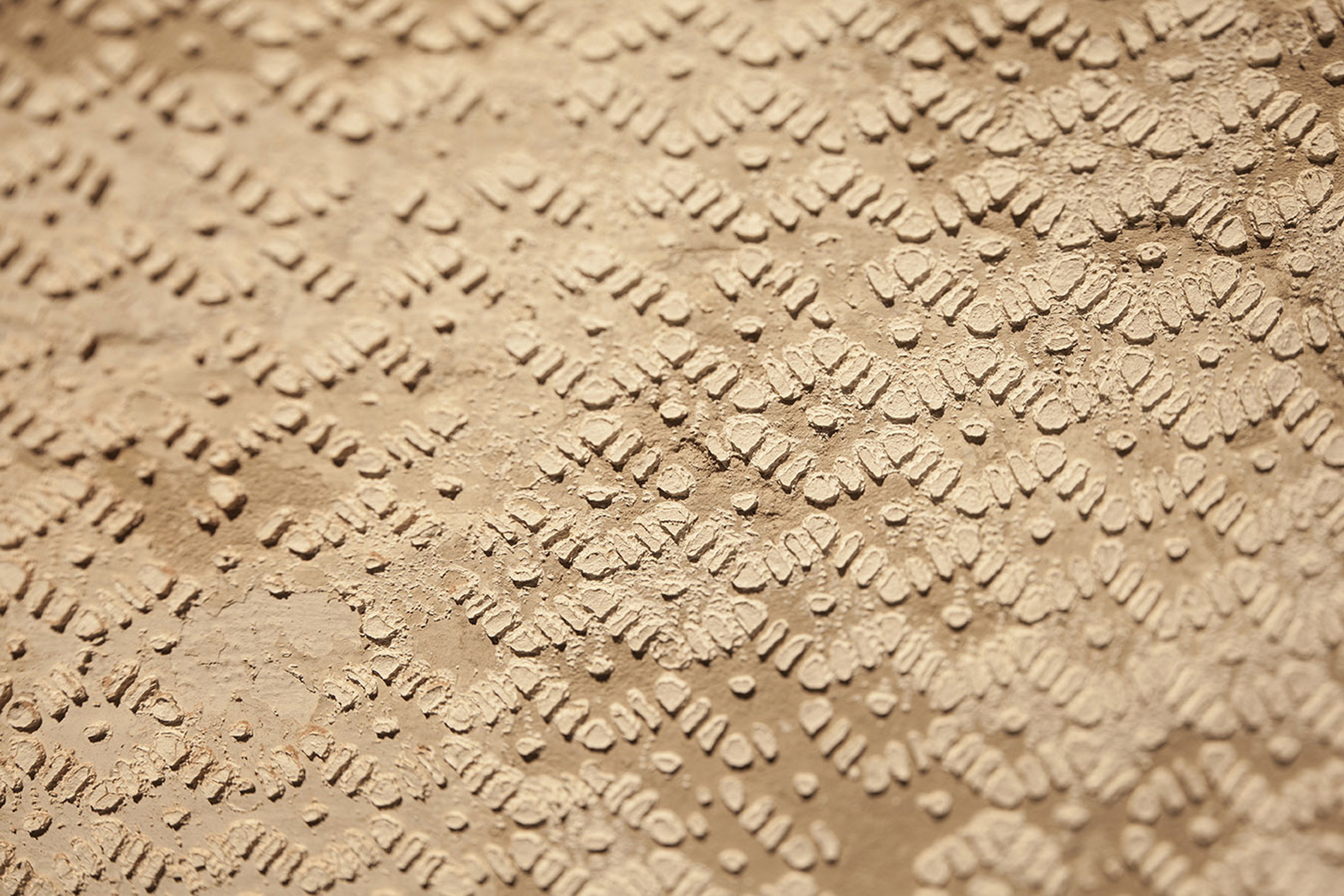 Fabio Gatto store in Treviso, by Isabella Breda, made with TerraEvoca 2 Layers Cannella, photo by Bruno Pulici