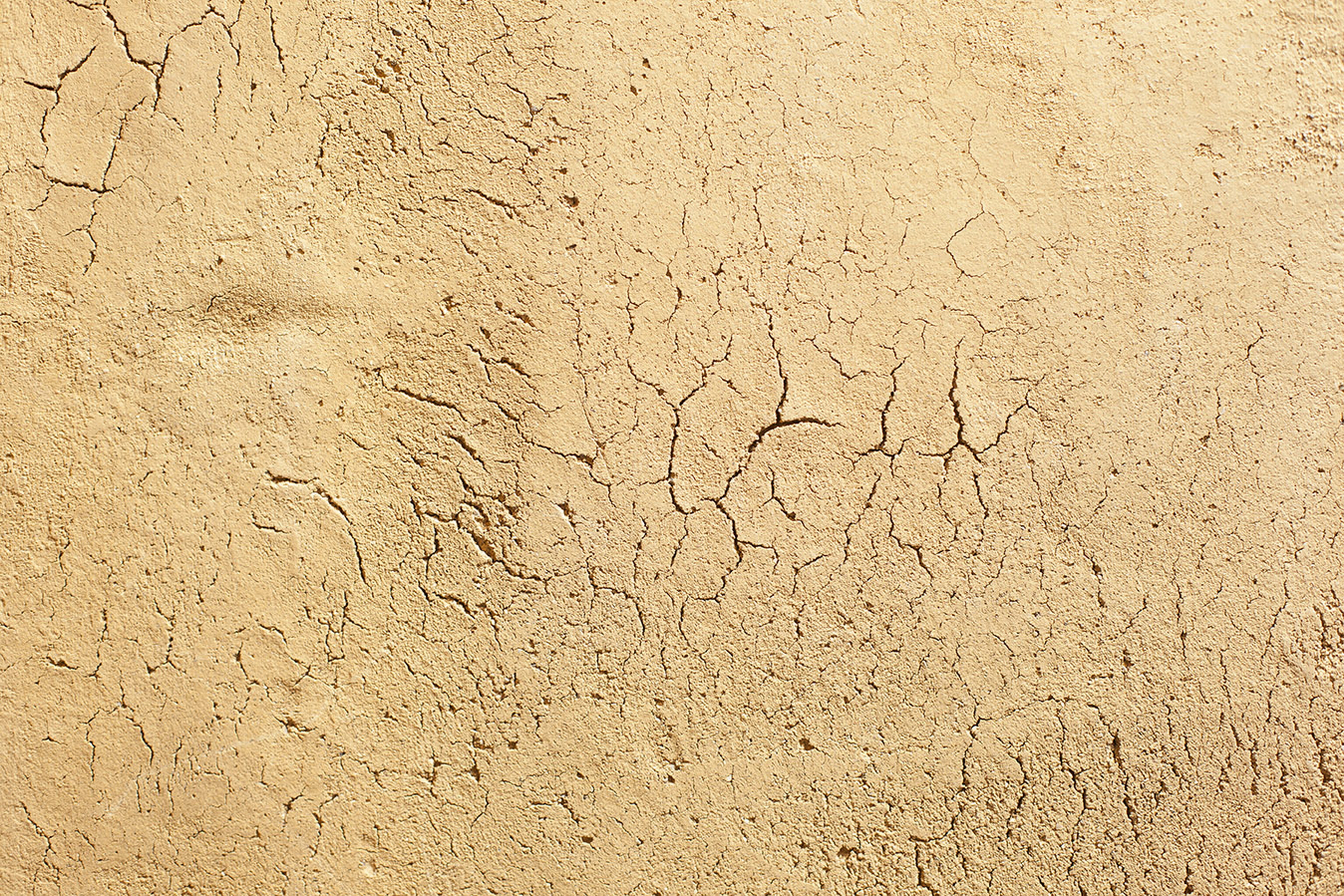 Fabio Gatto store in Treviso, by Isabella Breda, made with TerraVista Wabi Senape with a craquelè effect, photo by Bruno Pulici