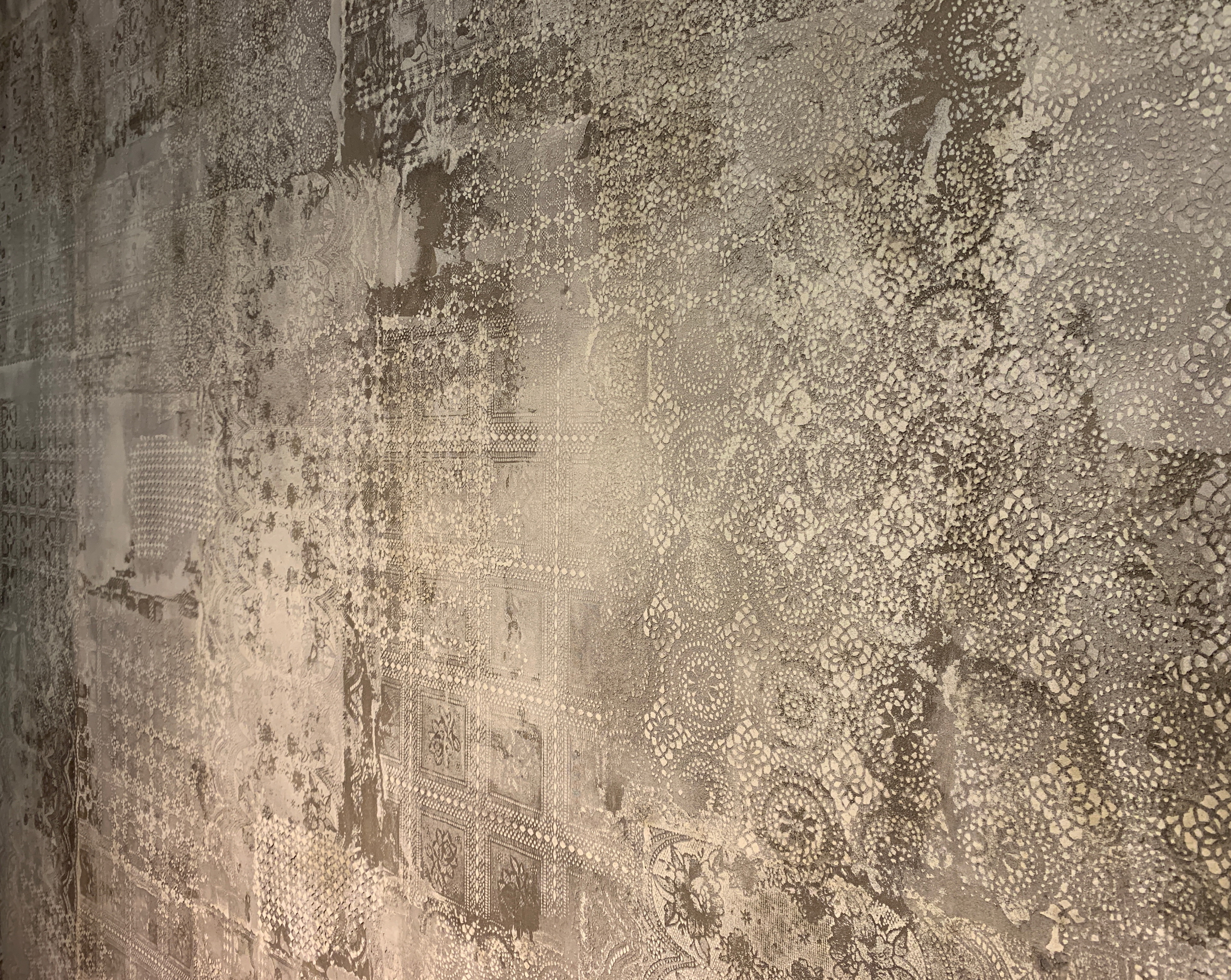 Showroom Squassabia in Verona made with Matteo Brioni's natural clay texture TerraEvoca 4 Layers with Plus customization, Panna and Sale Grigio colours