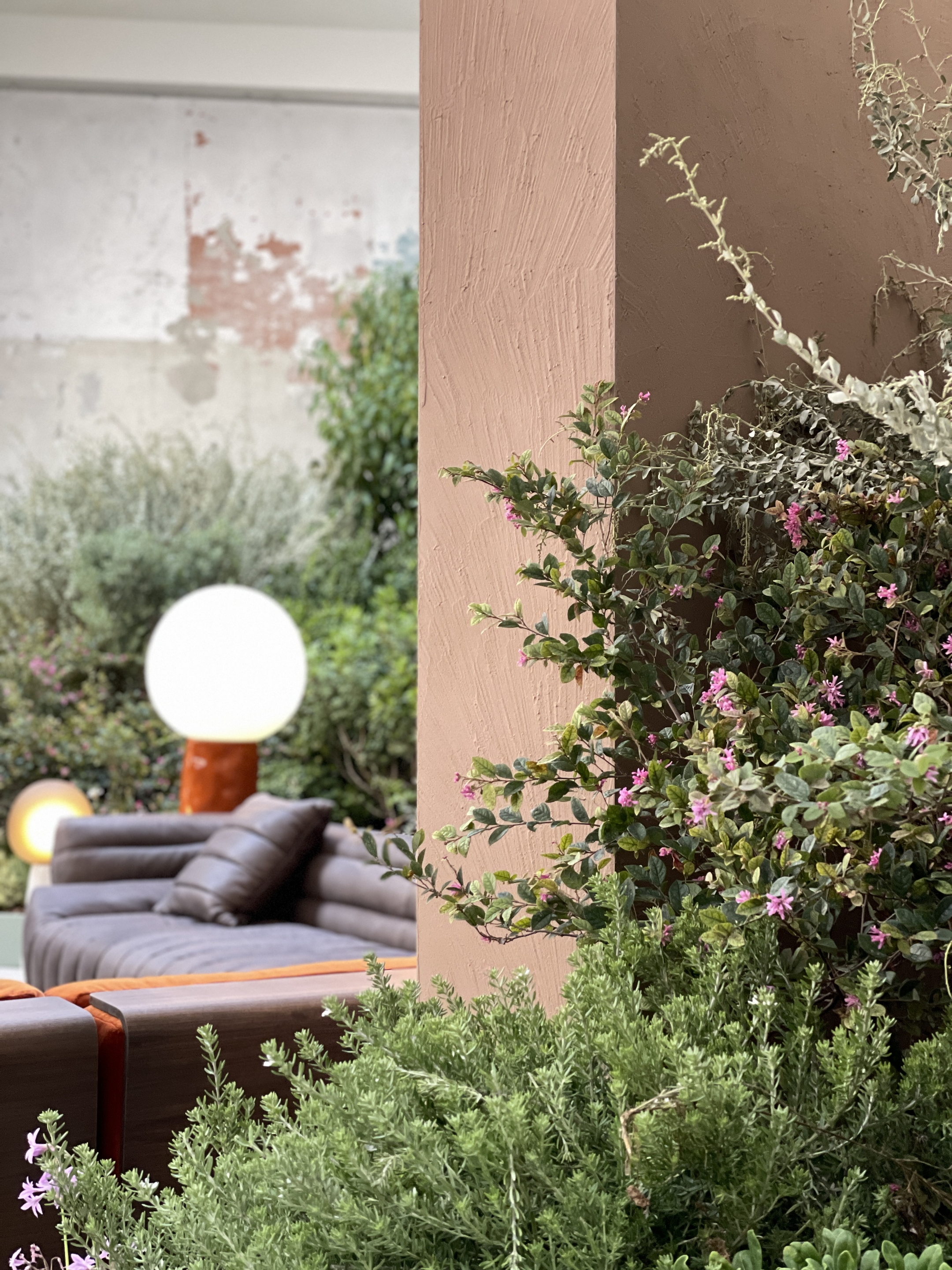 Matteo Brioni's coarse-grained clay finishing wall plaster MultiTerra Smooth for Mollura MOHD showroom in Milan. Project by Studio Pepe