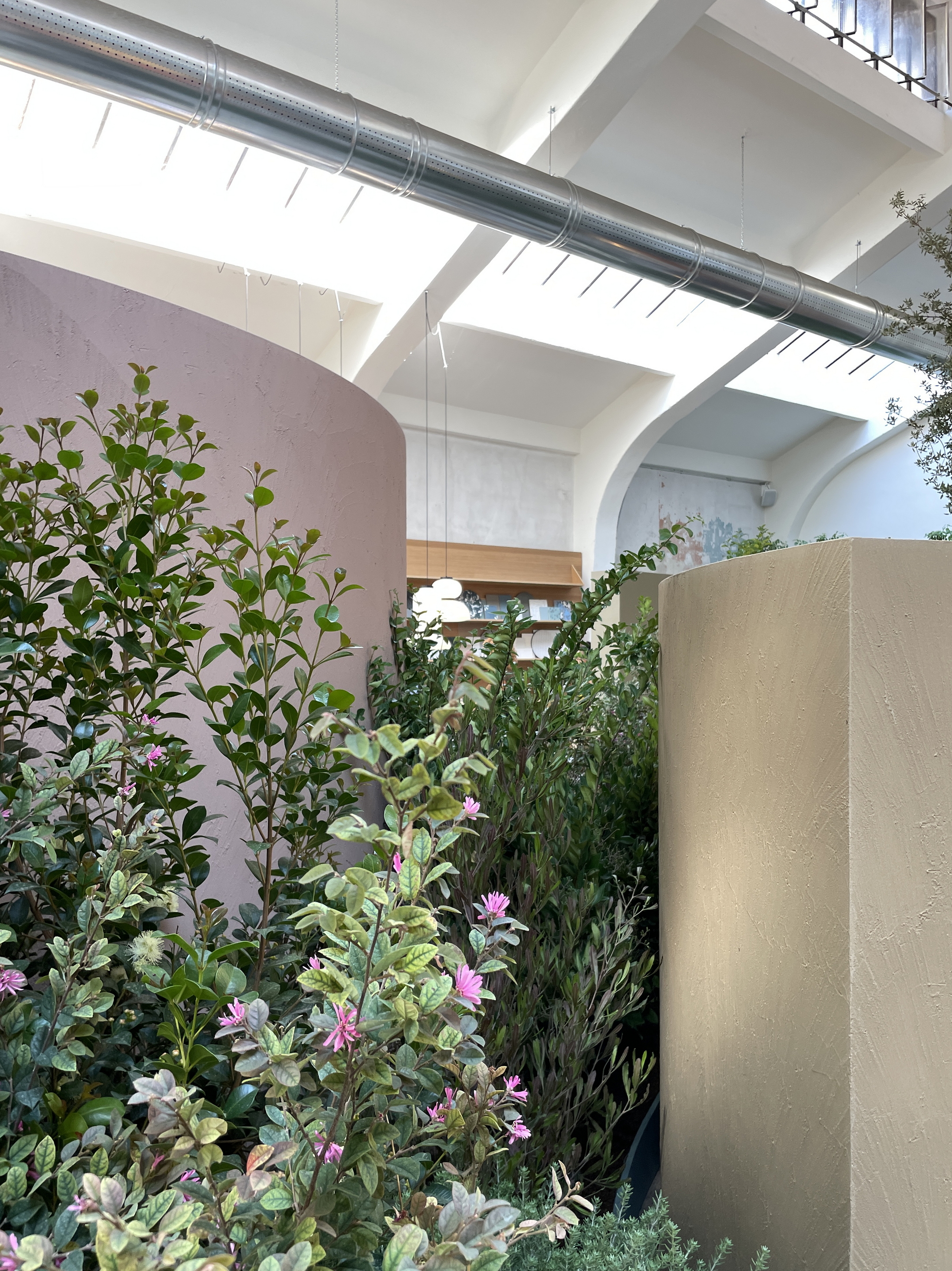 Matteo Brioni's coarse-grained clay finishing wall plaster MultiTerra Smooth for Mollura MOHD showroom in Milan. Project by Studio Pepe