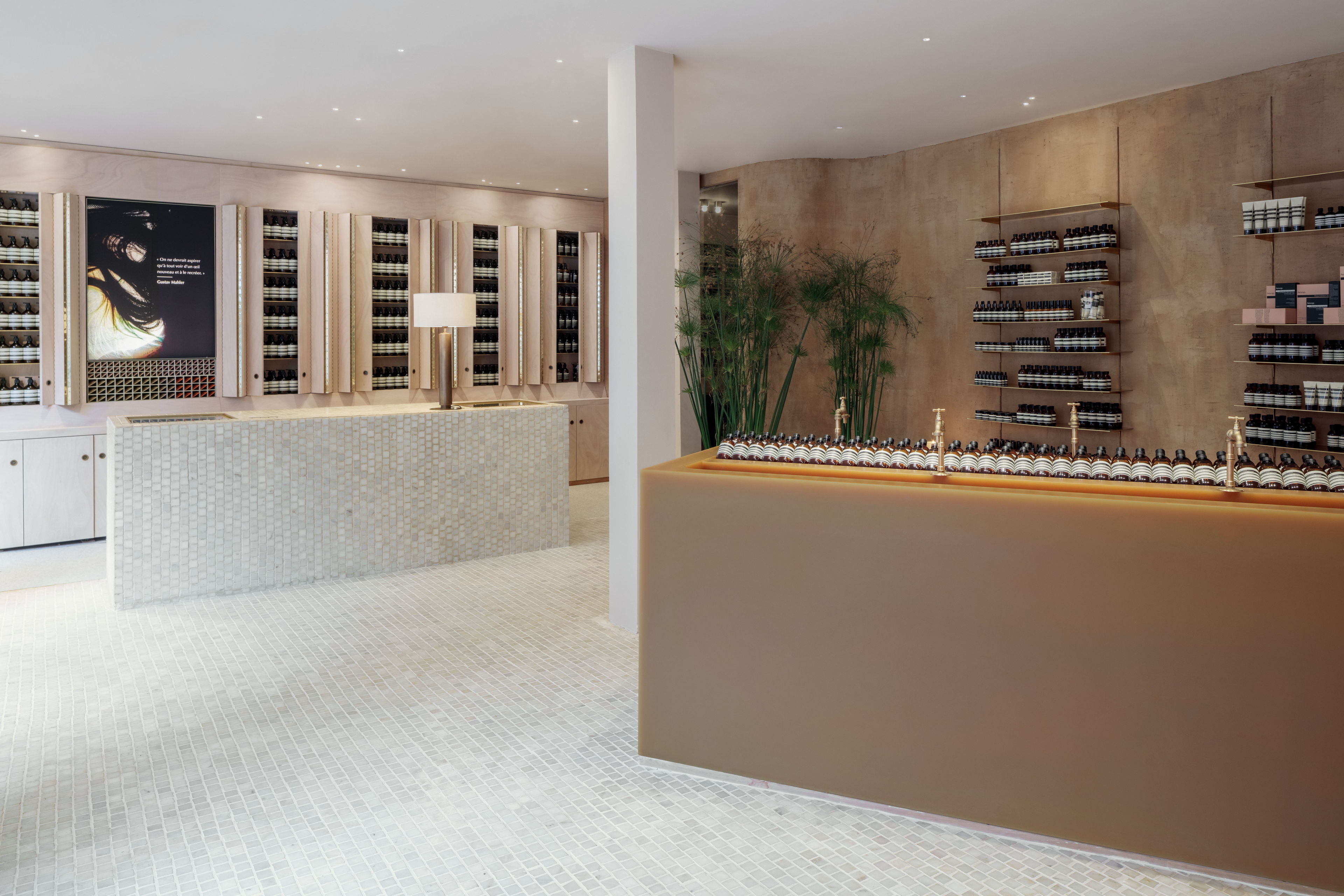 Matteo Brioni fine-grained clay plaster TerraVista wabi Custom color for Aesop store in Tolouse