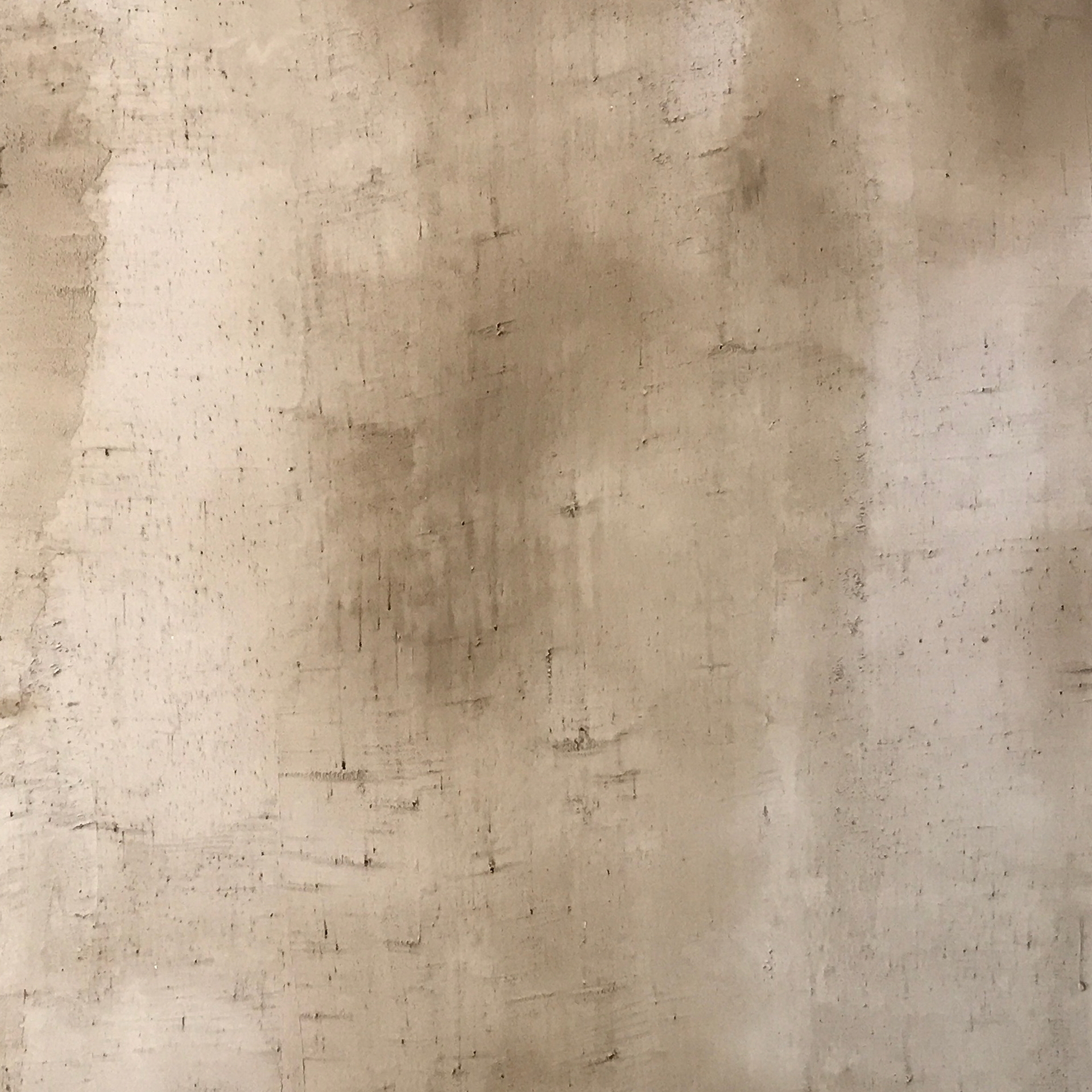 Matteo Brioni fine-grained clay plaster TerraVista wabi Custom color for Aesop store in Tolouse