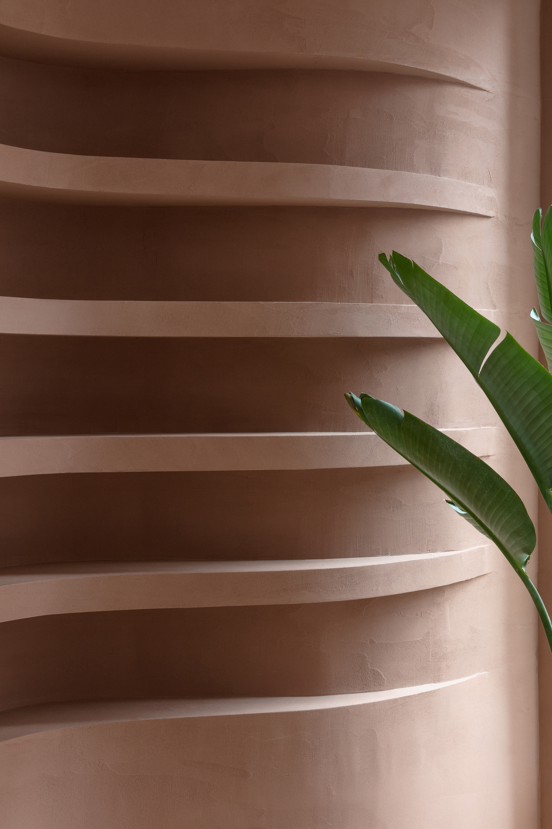 Intonaco di argilla a grana fine TerraVista Plus Liscio Cammeo di Matteo Brioni  applicato sulle pareti del negozio Profumo a Napoli, progetto di Primo Atelier, foto di Carlo Oriente