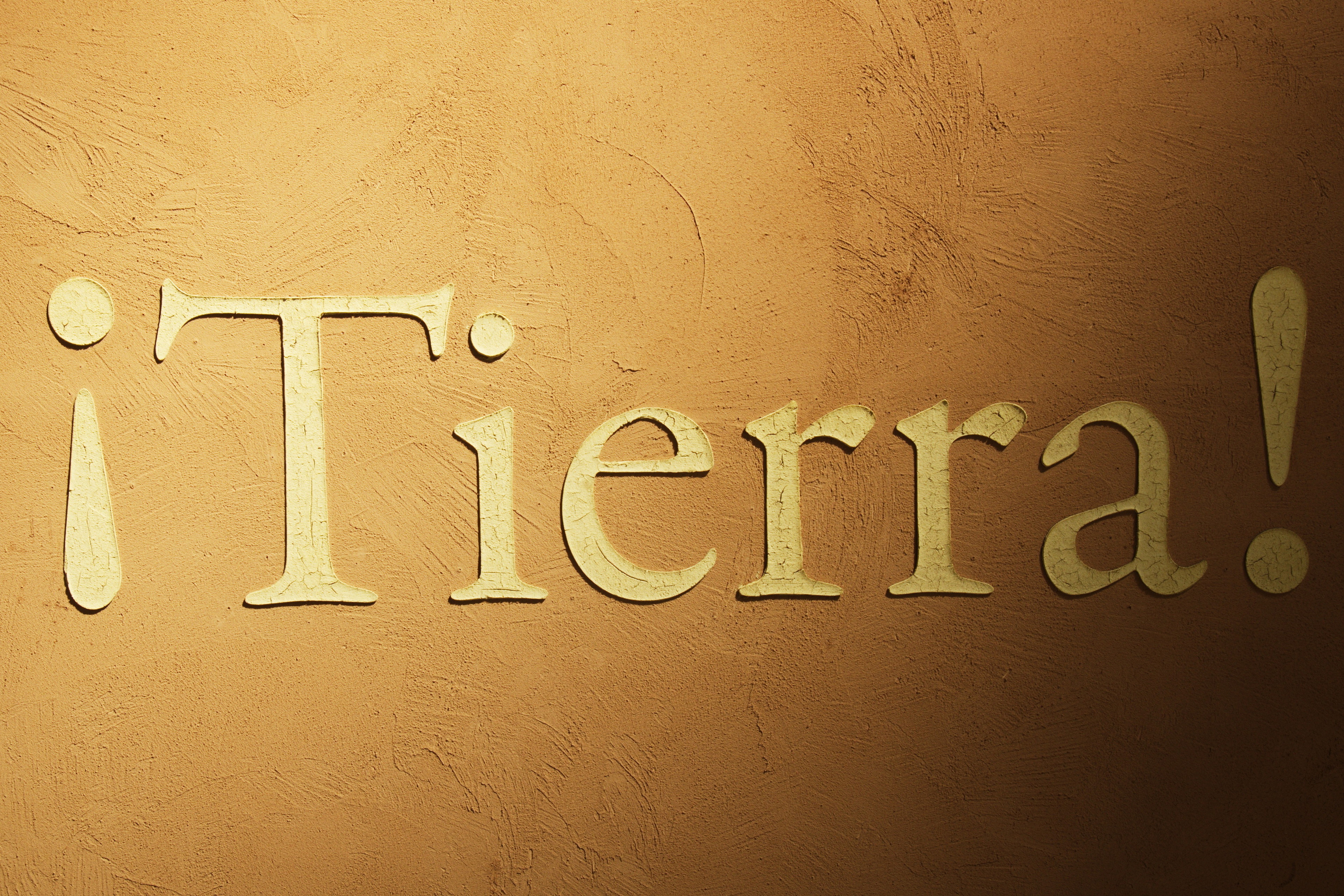 Stand Lavazza al Salone del Gusto di Milano realizzato da Matteo Brioni con intonaco di finitura a grana grossa MultiTerra Strutturato nei colori Caffè e Senape, foto di Matteo Nobili