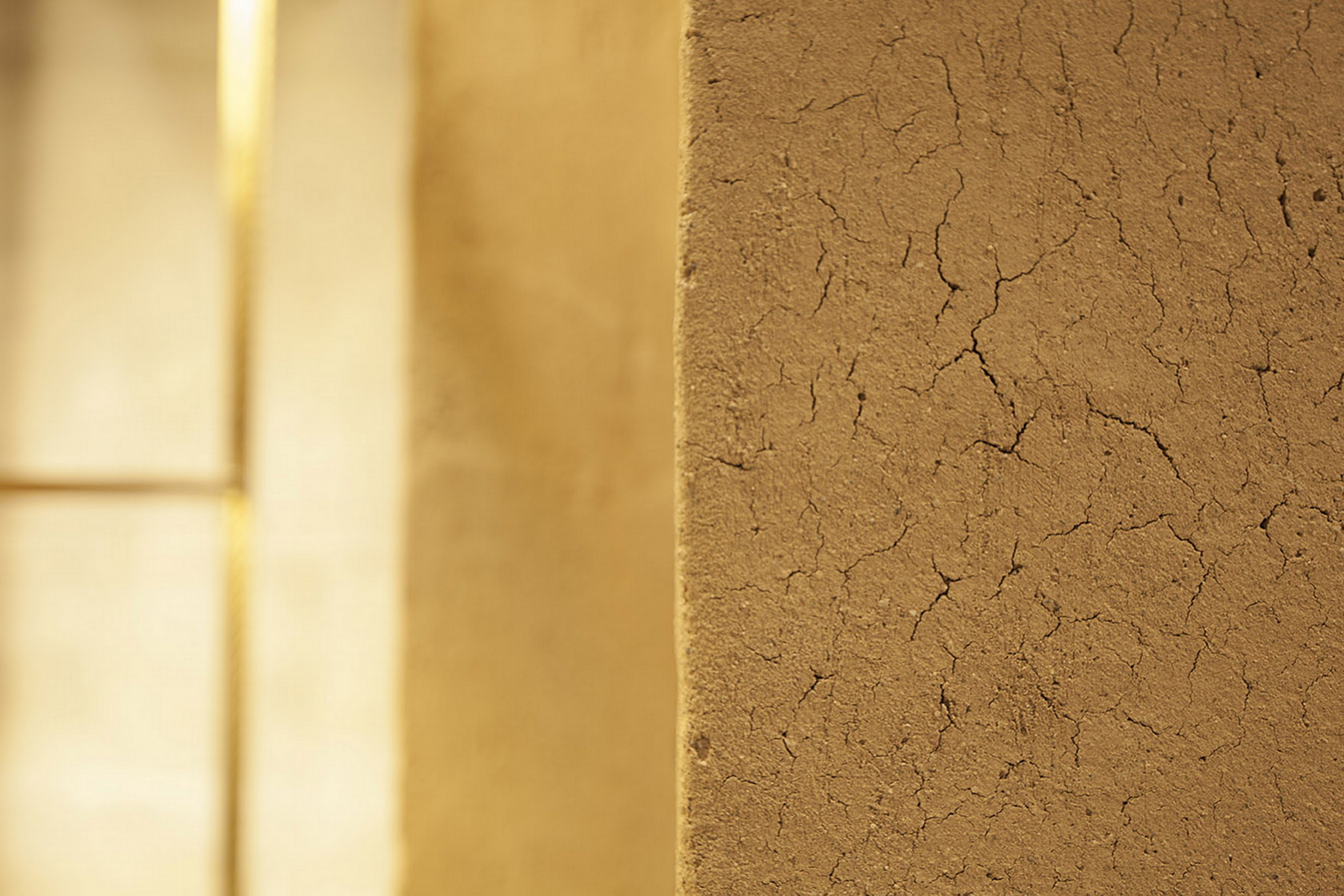 Negozio Fabio Gatto a Treviso, con lavorazioni di Isabella Breda, realizzato con TerraVista Wabi Senape con effetto craquelè, foto di Bruno Pulici