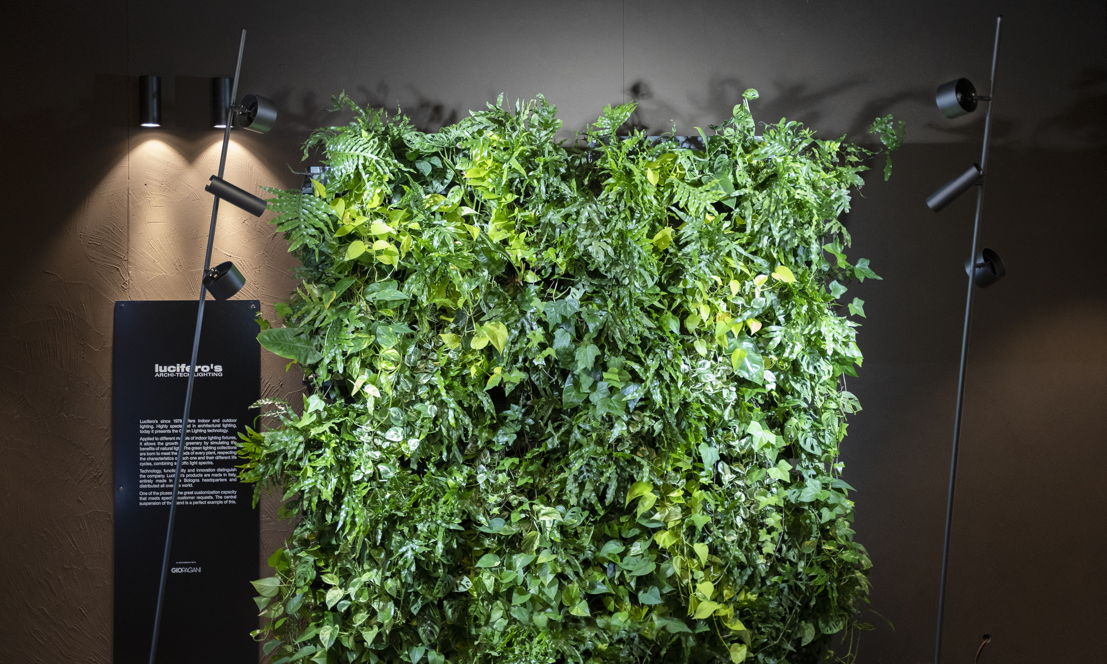 Intonaco rinforzato di finitura in terra cruda a grana grossa MultiTerra Plus Liscio in colore personalizzato Wengè, applicato su pannelli, scrivania e mensole dello stand GIOPAGANI al Salone del Mobile di Milano 2022. Foto per gentile concessione di GIOPAGANI