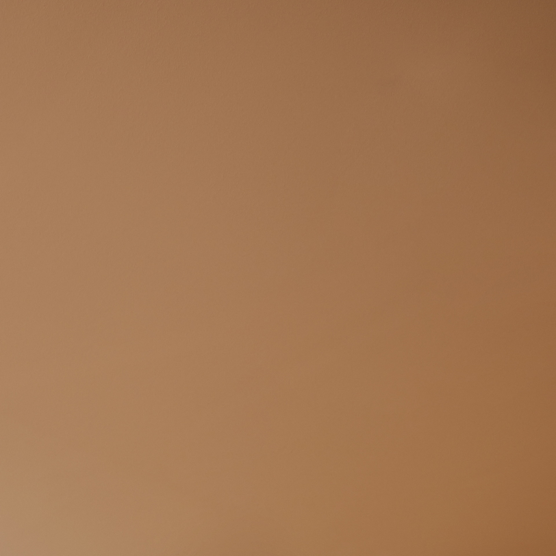 TerraSilk Smooth  clay paint and TerraVista Plus Smooth reinforced raw earth finishing plaster, both custom color, for the BolzanSpace showroom in Milan. Project by Zanellato/Bortotto, Photography by Omar Sartor