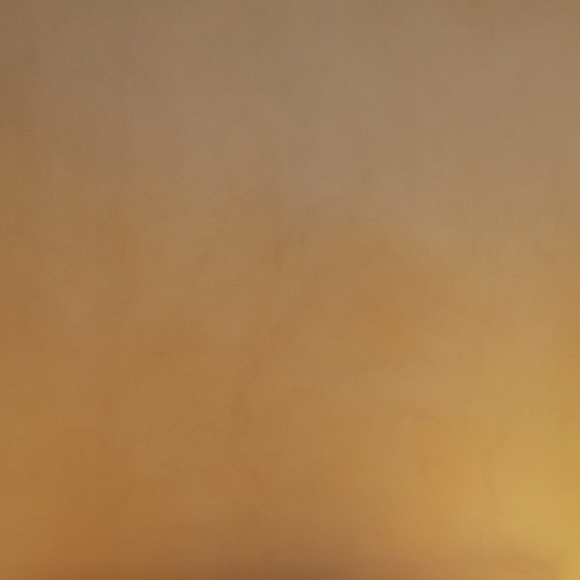 TerraSilk Smooth  clay paint and TerraVista Plus Smooth reinforced raw earth finishing plaster, both custom color, for the BolzanSpace showroom in Milan. Project by Zanellato/Bortotto, Photography by Omar Sartor