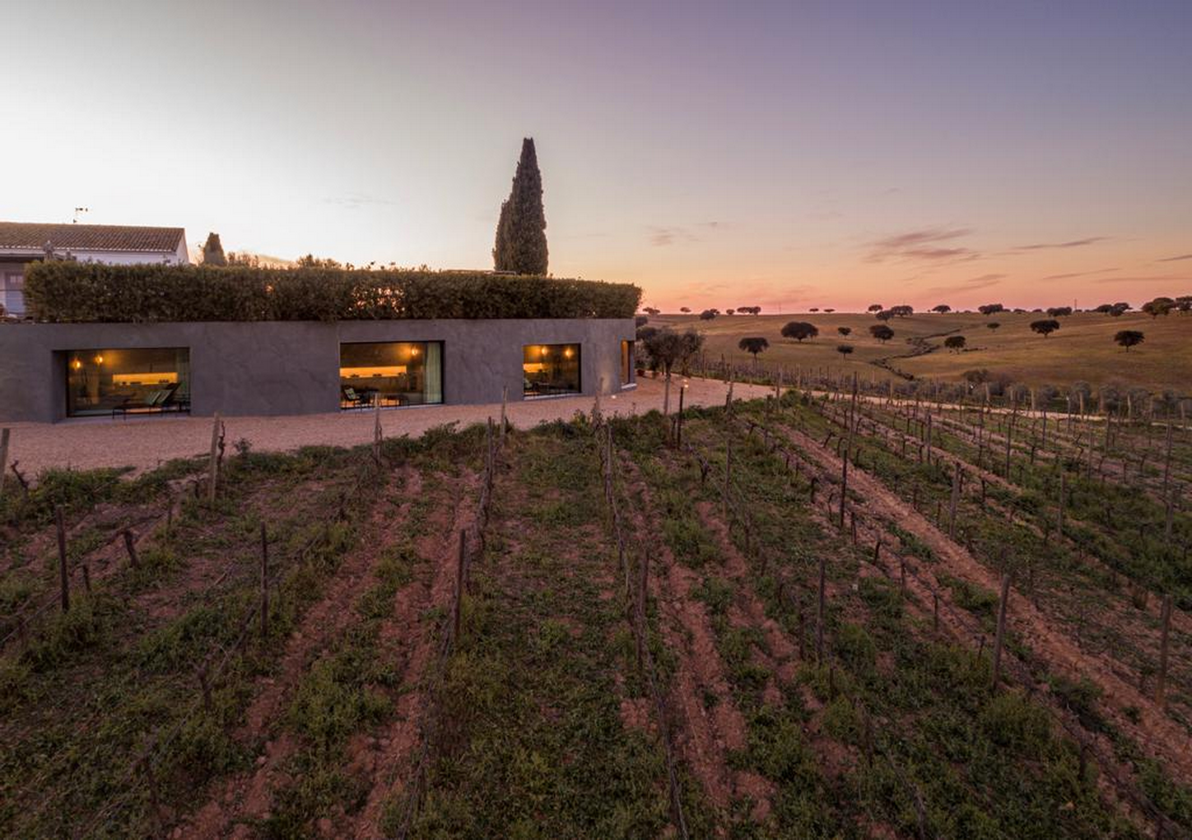 Intonaco di argilla per una SPA progettata da Manuel Aires Mateus in Alentejo. Intonaco di finitura a base di argilla pozzolana naturale, cemento e leganti minerali a grana fine TerraTon Wall colore bespoke applicato sulle superfici esterne. Foto João Guimarães