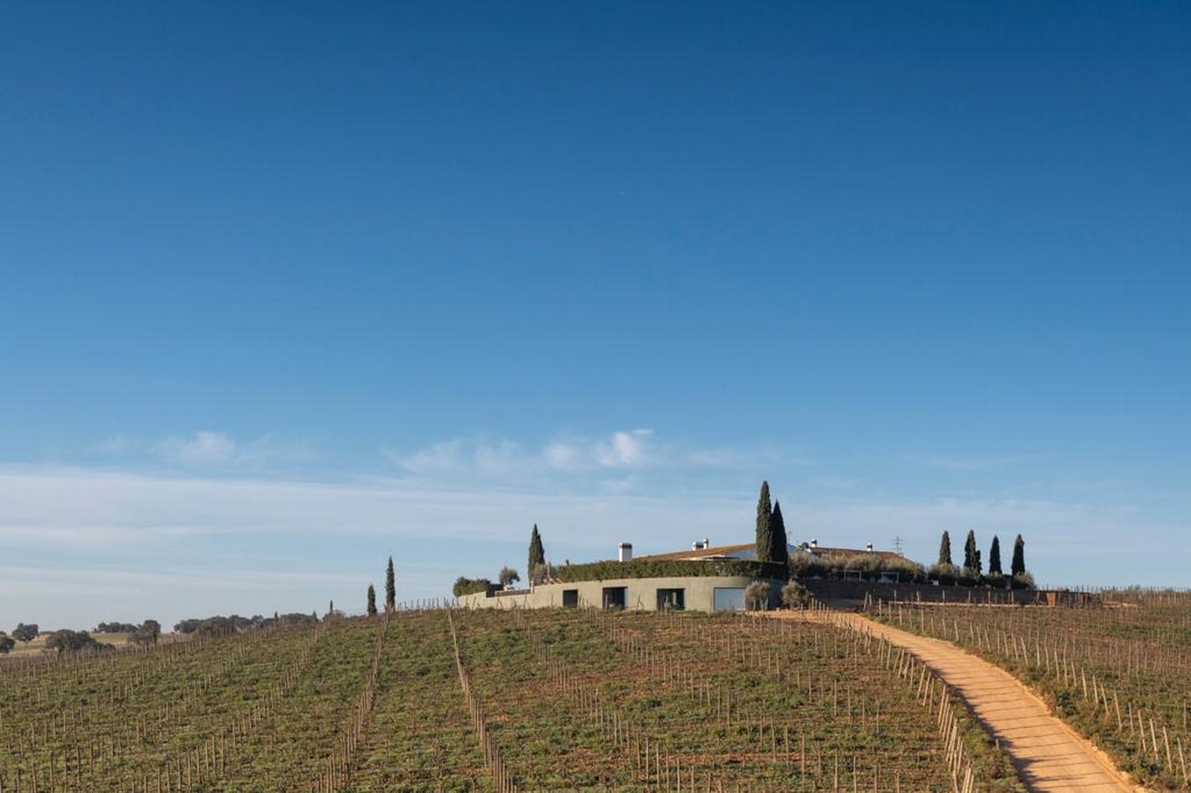 Intonaco di argilla per una SPA progettata da Manuel Aires Mateus in Alentejo. Intonaco di finitura a base di argilla pozzolana naturale, cemento e leganti minerali a grana fine TerraTon Wall colore bespoke applicato sulle superfici esterne. Foto João Guimarães