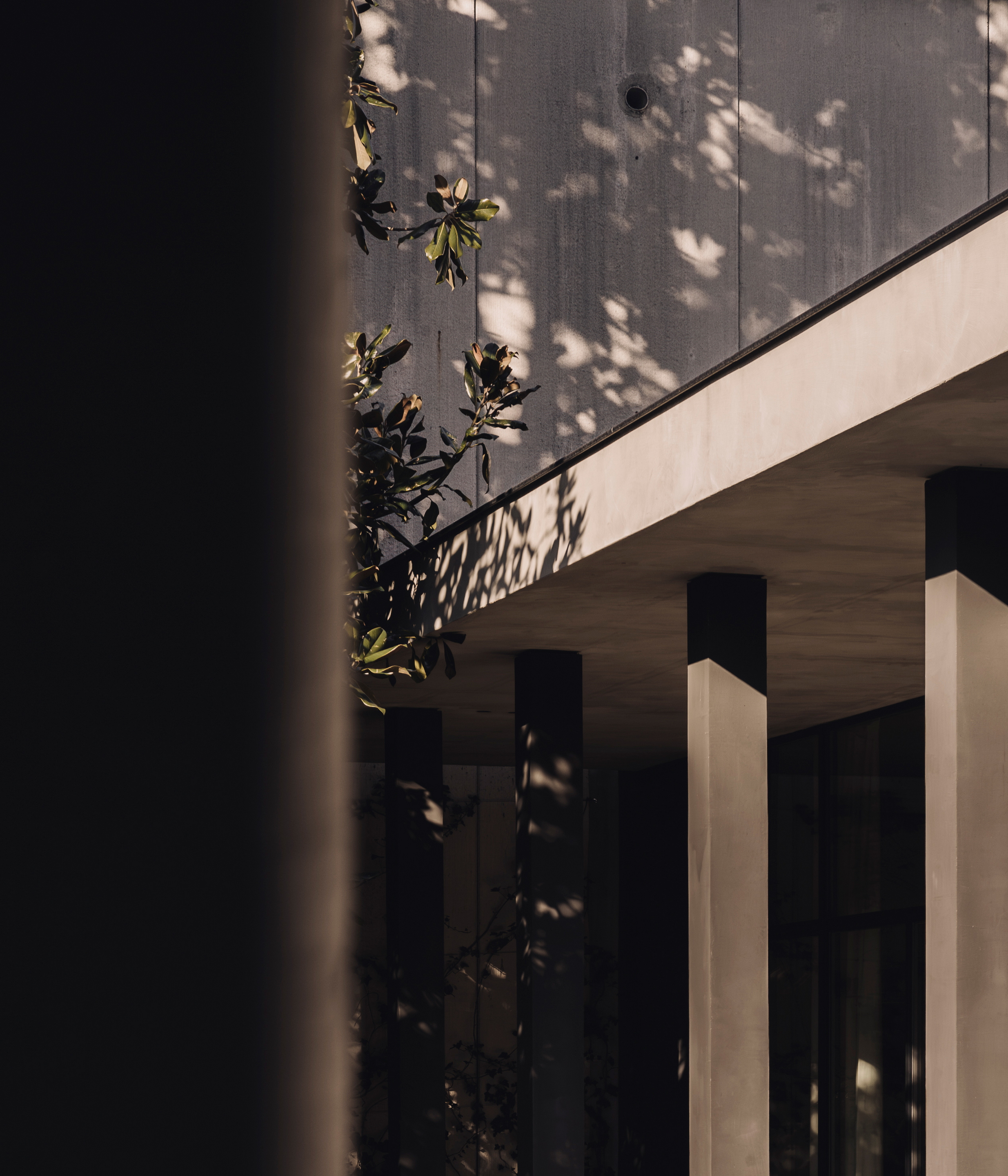 Perenni exhibition curated by Kalpa Art galleries hosted in the Molteni&#038;C Pavilion in Giussano whose surfaces are finished with MATTEOBRIONI clays. Fine-grained clay finishing plaster TerraVista Smooth Panna, Pepe Nero and Polvere for the Pavilion's interiors and TerraTon Wall Smooth Pepe Nero and Polvere finishing plaster based on natural pozzolans clay, cement and fine-grained mineral binders for its exteriors. Pavilion design by Vincent Van Duysen. Art Works by Federico Gori, Yoshimi Futamura and Marc Ricourt. Photography: Daniel Civetta