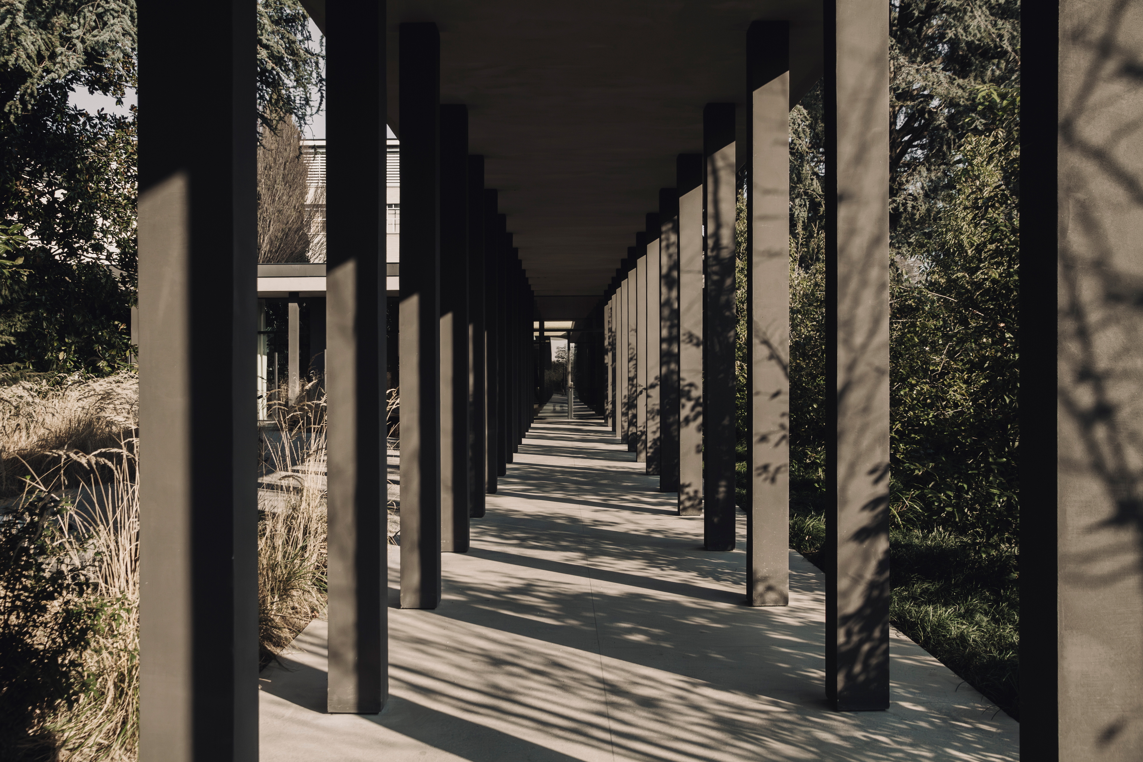 La mostra Perenni, curata dalle gallerie Kalpa Art, è ospitata nel Padiglione Molteni&#038;C di Giussano le cui superfici sono rifinite con le argille MATTEOBRIONI. L'intonaco di finitura in argilla fine TerraVista Liscio Panna, Pepe Nero e Polvere per gli interni del Padiglione e l'intonaco di finitura TerraTon Wall Liscio Pepe Nero e Polvere a base di argilla pozzolana naturale, cemento e leganti minerali a grana fine per gli esterni. Progetto del padiglione di Vincent Van Duysen. Opere d'arte di Federico Gori, Yoshimi Futamura e Marc Ricourt. Fotografia: Daniel Civetta